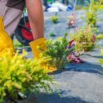 Gardener Spring Planting. Caucasian Garden Technician During Pro